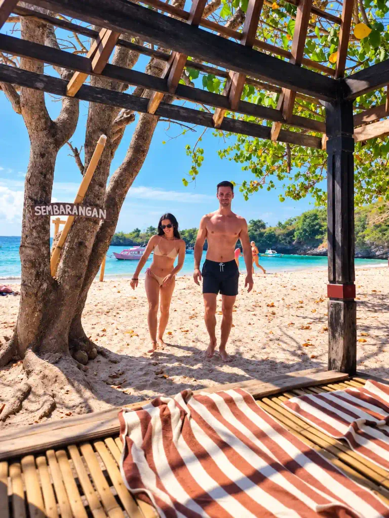 Pink Beach style tropical beach