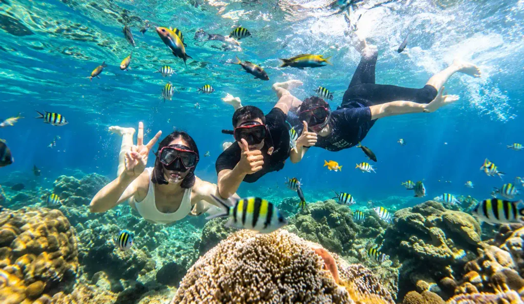 Coral and tropical fish snorkeling environment in Lombok